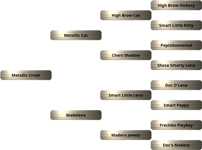 Metallic Crush Stallion Pedigree