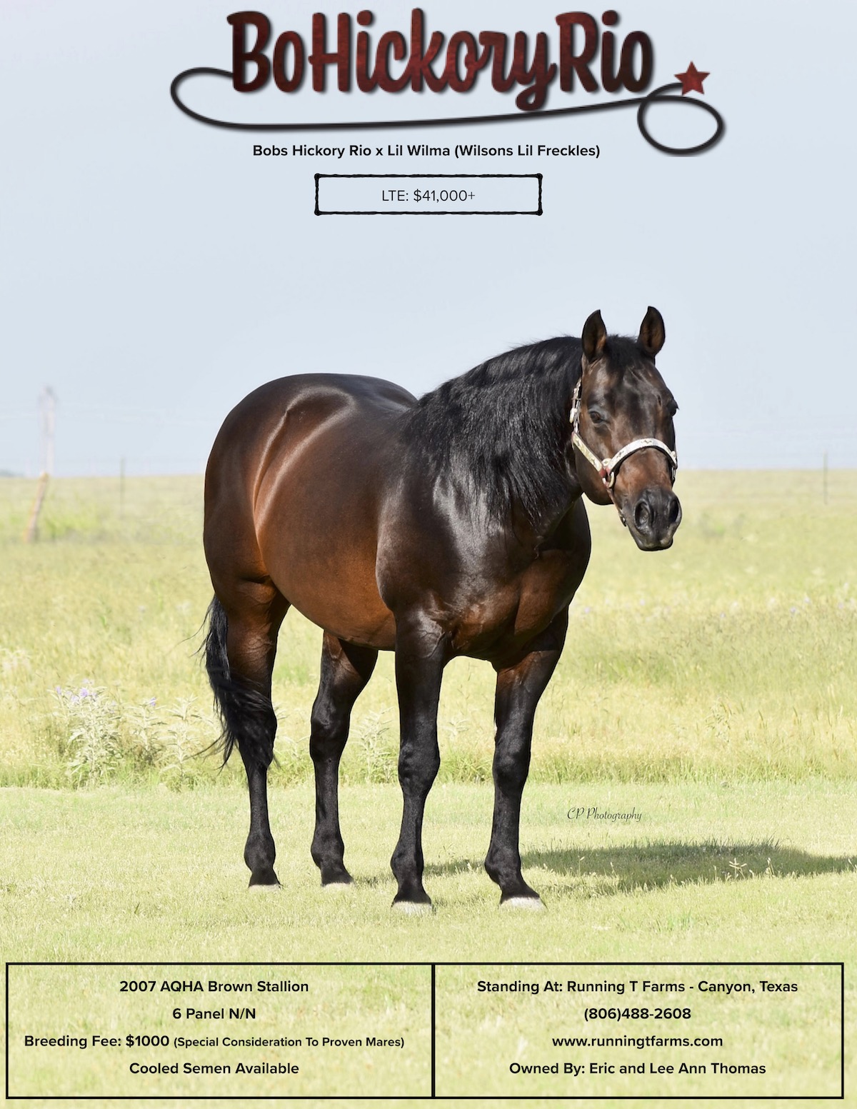 BoHickoryRio Flyer