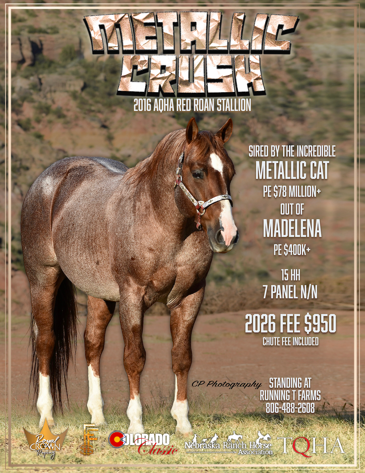 Metallic crush stud flyer(1)