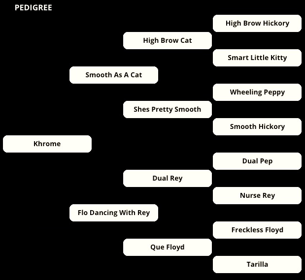 khromeMobilePedigree