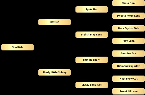 Return of the Fire pedigree.